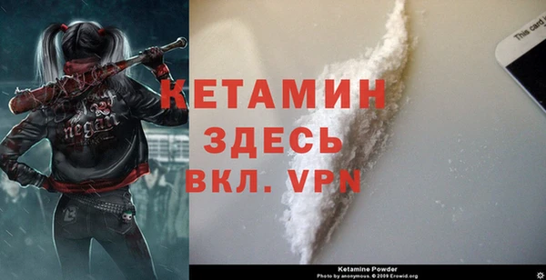 индика Бронницы