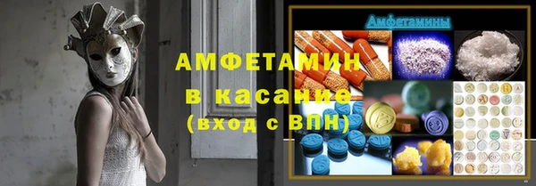 индика Бронницы