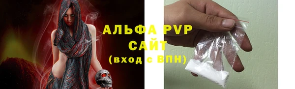 прущие грибы Покров
