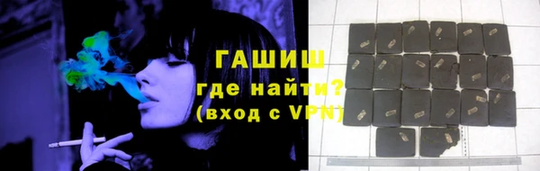 индика Бронницы