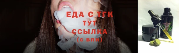 индика Бронницы