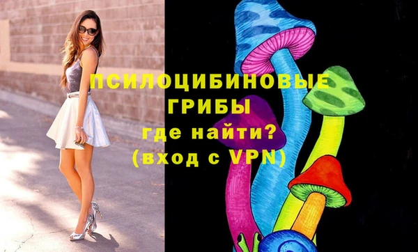 индика Бронницы