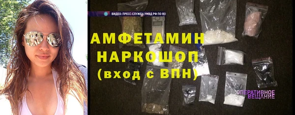 индика Бронницы