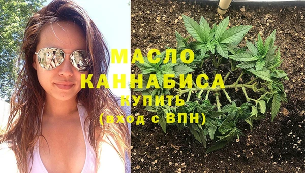 индика Бронницы