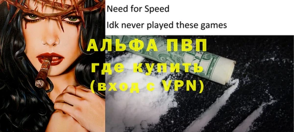 индика Бронницы