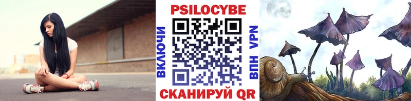 OMG Новоуральск Псилоцибиновые грибы Magic Shrooms закладки